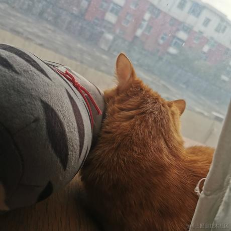 柒弎于2022-11-28 22:44发布的图片