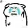 好气啊1.gif