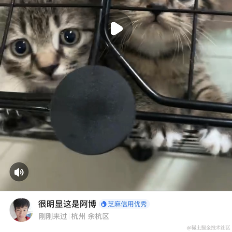 浏览器API调用工程师_Taylor于2023-07-10 17:59发布的图片