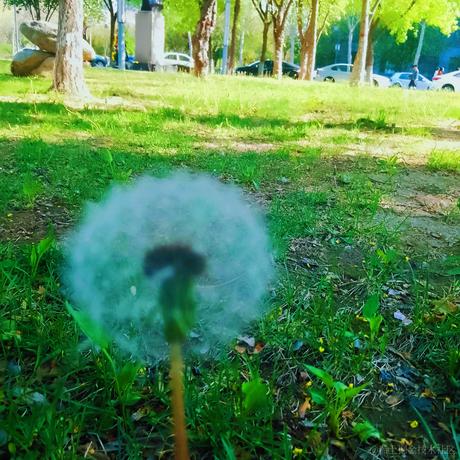 用户6248811048581于2023-04-16 19:35发布的图片