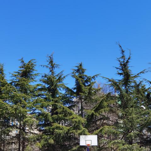 你好我就要起飞了于2022-03-28 07:47发布的图片