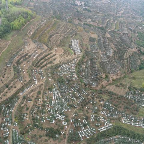 刘一哥GIS于2023-10-04 08:39发布的图片