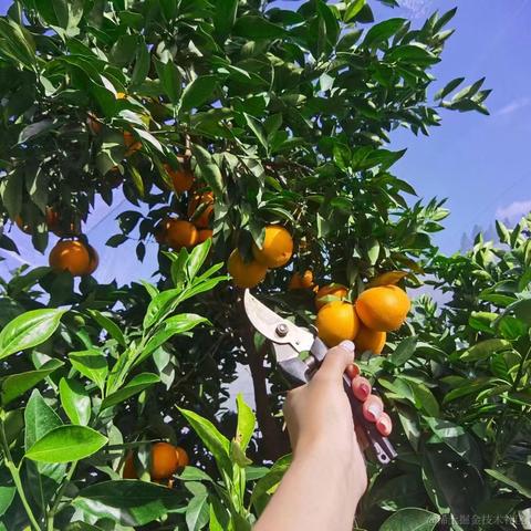 codercao于2022-11-21 10:15发布的图片