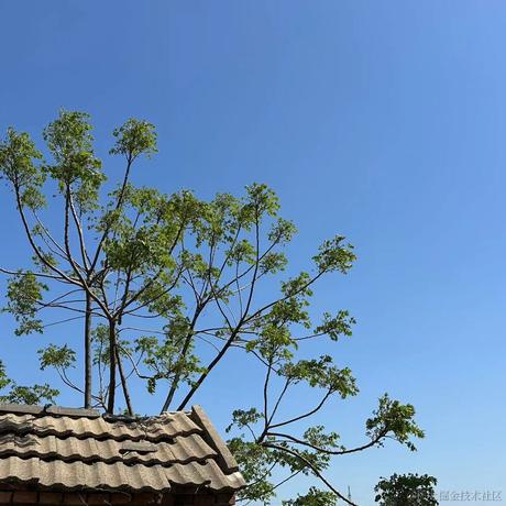 小small于2023-05-17 08:53发布的图片