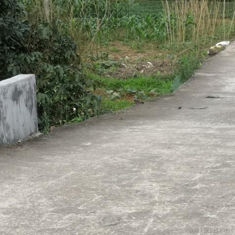 卢安娜的飓风于2023-05-04 09:03发布的图片