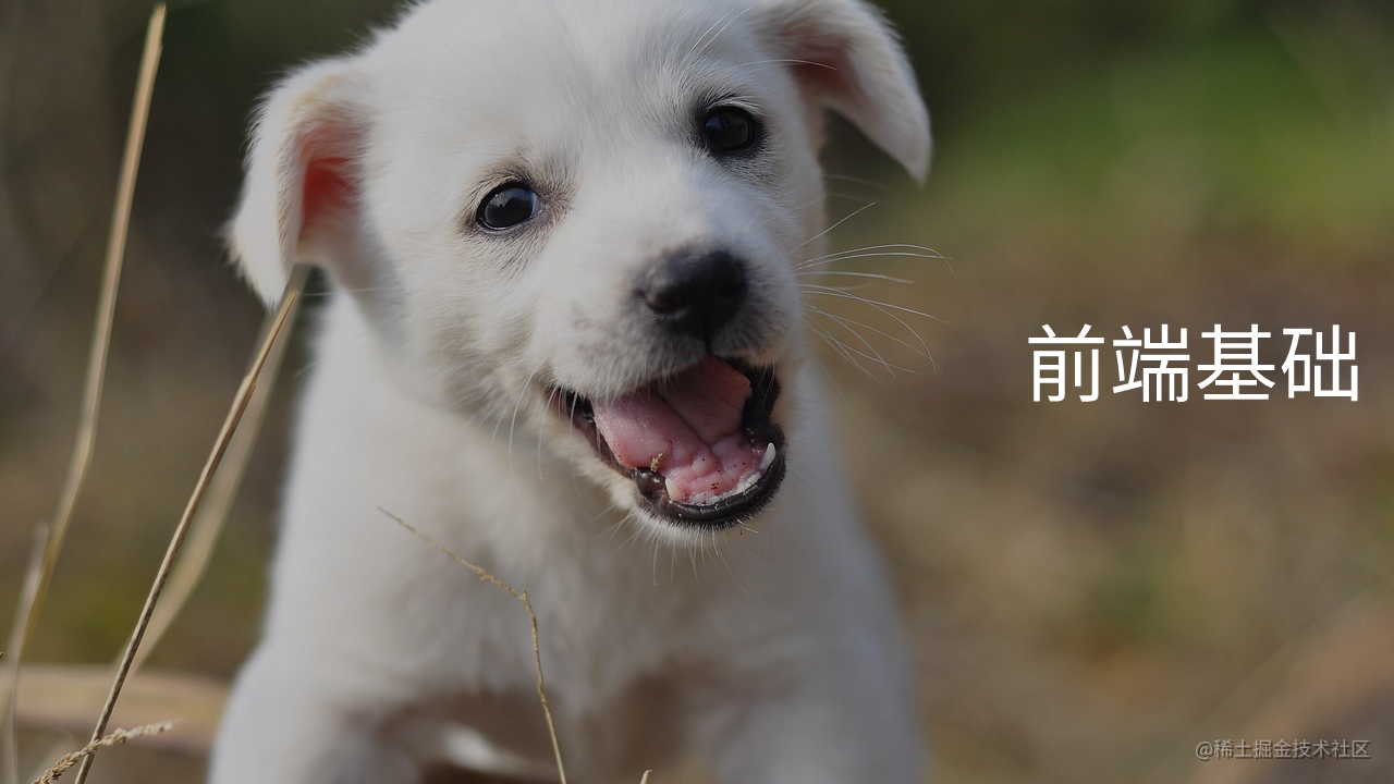 前端基础