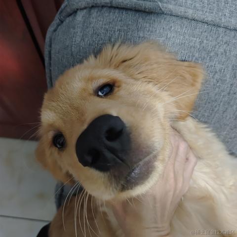 LGX_TvT于2023-01-13 12:27发布的图片