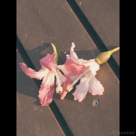 你先别急于2022-12-09 00:09发布的图片