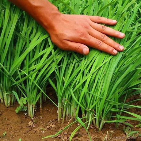 API复制员于2021-12-24 10:43发布的图片