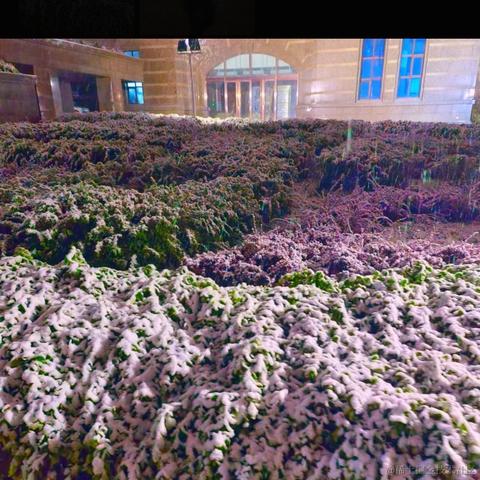 天空之城53于2023-04-22 10:32发布的图片