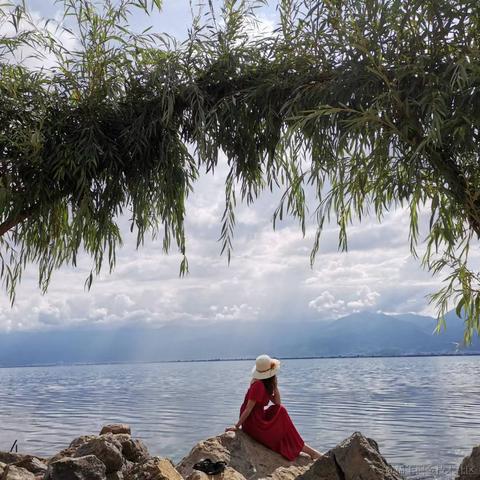 老柴不加班于2022-12-23 17:08发布的图片