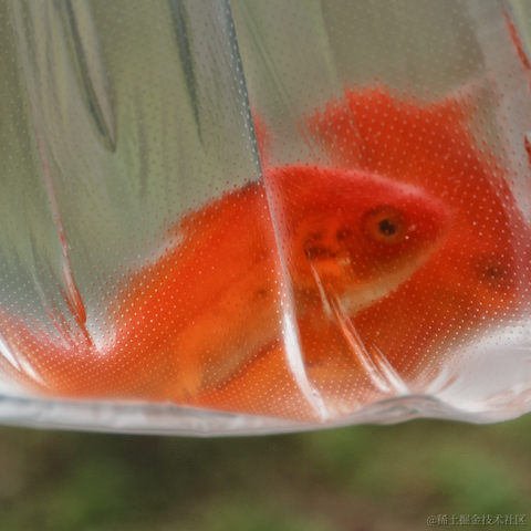 红毛丹于2022-04-22 09:20发布的图片