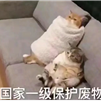 轻舞于时光流河于2020-09-10 09:40发布的图片