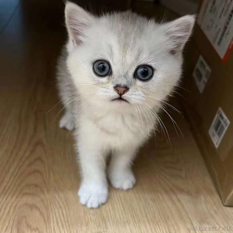 不爱吃小面于2023-05-17 10:06发布的图片