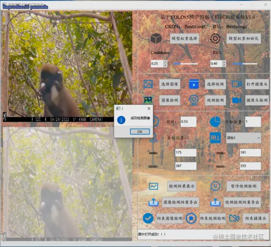 高精度猴子检测识别系统2172.png