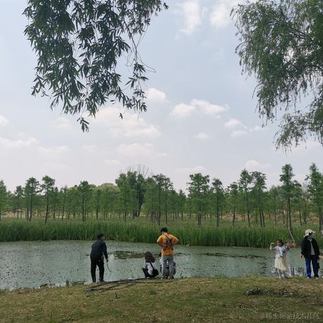 张某ZHK于2022-11-25 08:57发布的图片