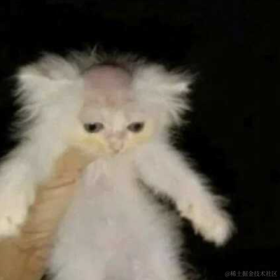 额滴个神呀于2022-03-11 17:00发布的图片