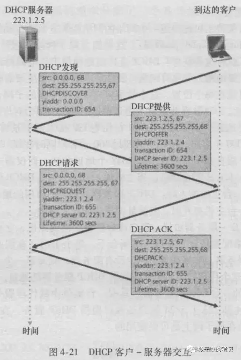 11.webp