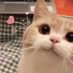 已注销于2020-12-14 10:09发布的图片