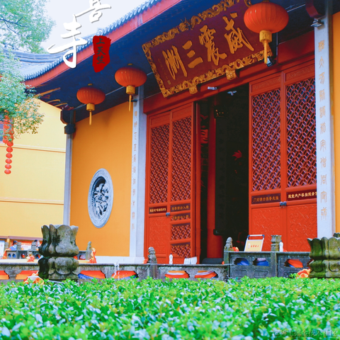 吃猫的鱼_于2021-11-20 23:04发布的图片