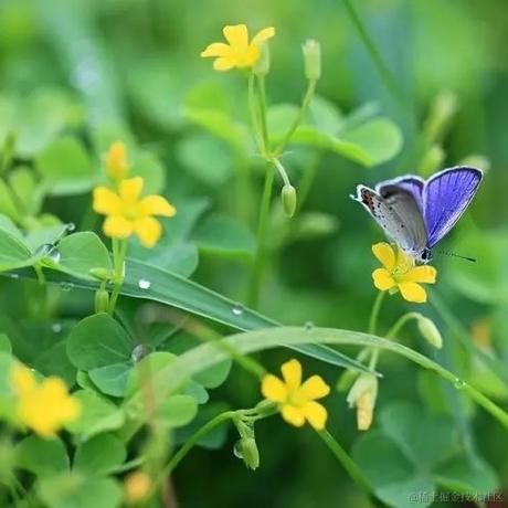 用户您好于2023-04-16 04:01发布的图片