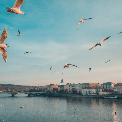 玖月Sarah_于2023-09-21 14:57发布的图片