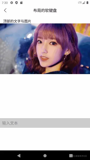 softinput_02.gif