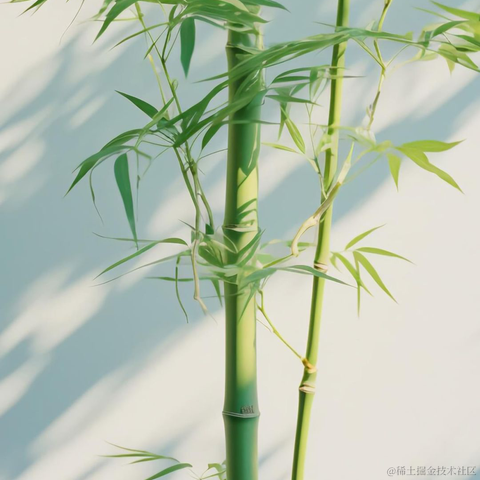 码界西柚于2024-01-29 13:16发布的图片