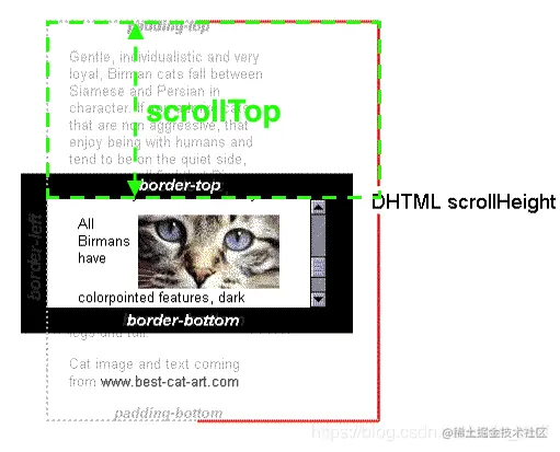 widthHeightScrollTop.png