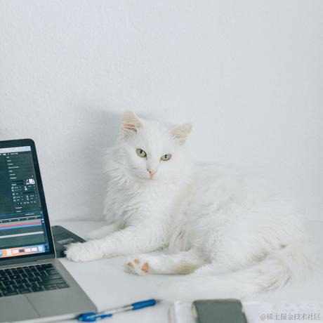 Wei于2022-11-19 23:47发布的图片