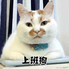 已注销于2020-12-03 07:38发布的图片