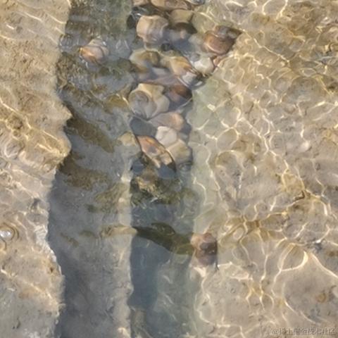 嘉然13136于2022-11-26 21:33发布的图片