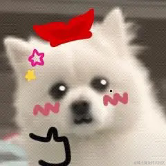 奇迹是九色的于2022-11-12 12:56发布的图片