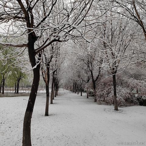 wumian233333于2023-03-28 11:07发布的图片