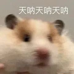 DirosYoung于2023-06-02 20:30发布的图片