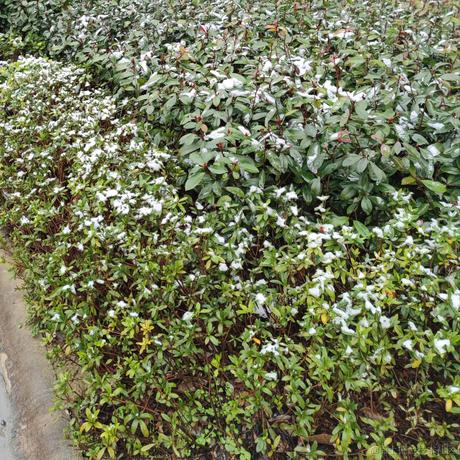 JulyYu于2022-02-23 09:36发布的图片