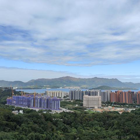 枝江最甜草莓嘉心棉花糖于2022-12-05 22:05发布的图片