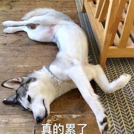 低码艺术家于2023-04-20 08:36发布的图片