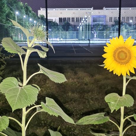 新新雷于2023-08-10 18:19发布的图片