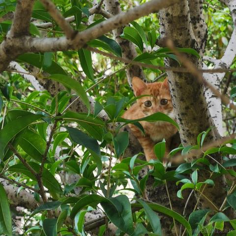 叮咚咚咚于2022-10-18 23:03发布的图片