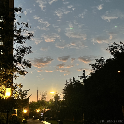 puppyyy于2023-03-16 07:46发布的图片