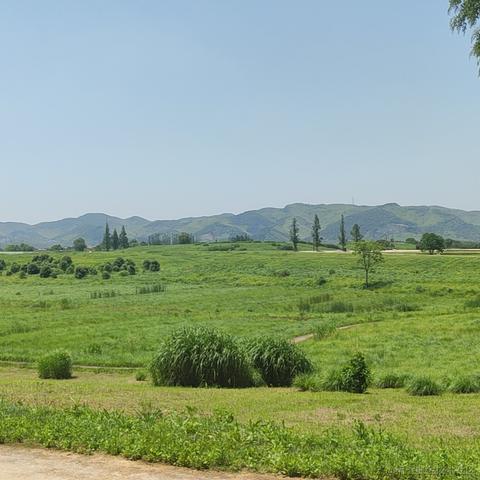 言顺于2021-06-06 13:46发布的图片