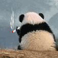 無嗦谓于2020-08-13 15:42发布的图片
