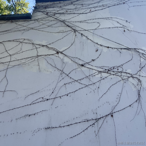 已注销于2023-02-15 12:39发布的图片