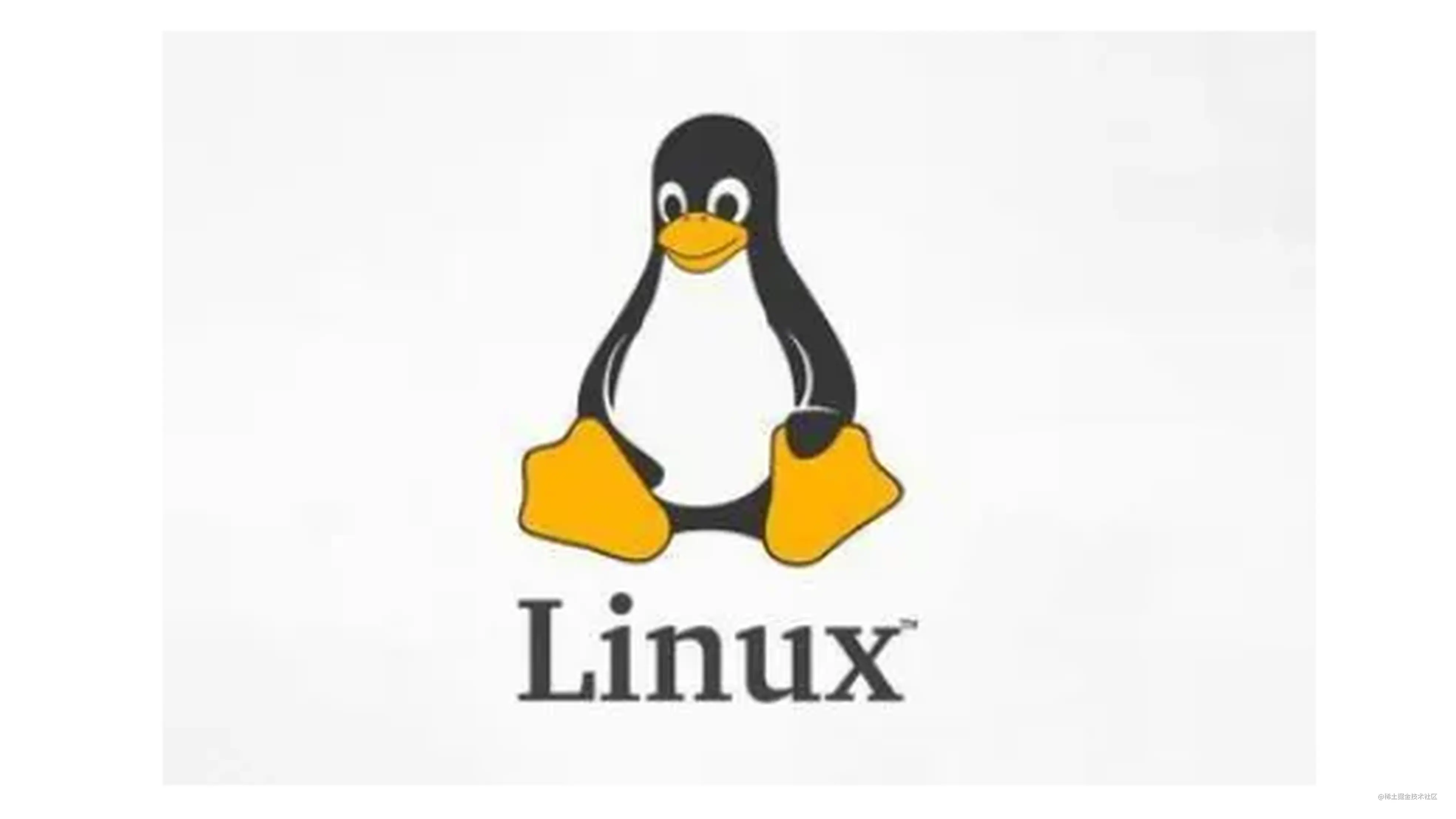 嵌入式linux 入门 五 Shell 脚本编程上 认识shell 脚本 掘金