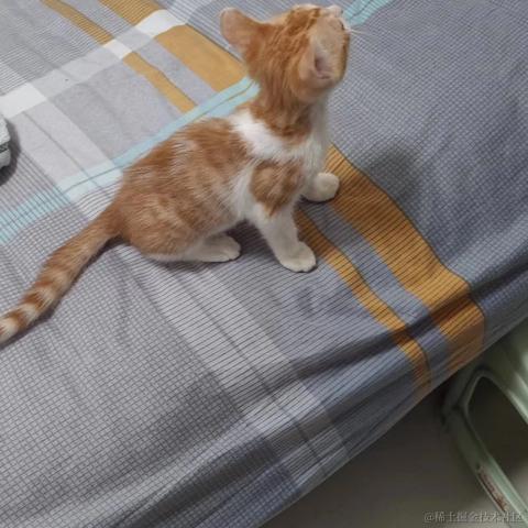 梦想是回家养猪于2023-08-18 09:47发布的图片