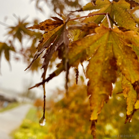 摄氏40度于2021-09-14 10:56发布的图片