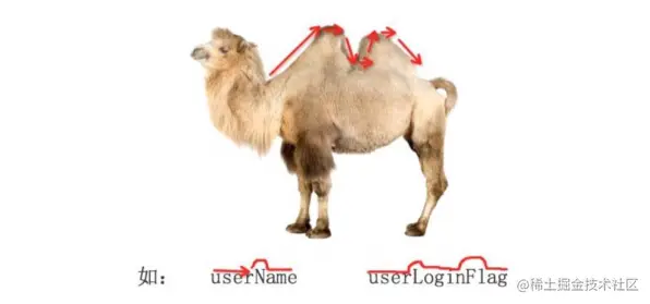 驼峰.png