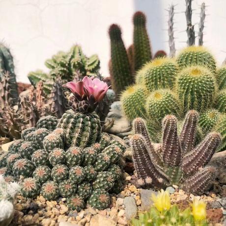 用户3793于2023-03-31 02:47发布的图片