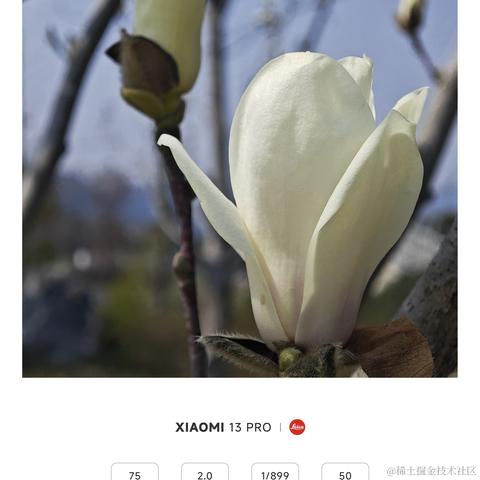 大明少保于谦于2024-03-11 10:09发布的图片